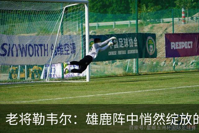 老将勒韦尔：雄鹿阵中悄然绽放的秘密武器